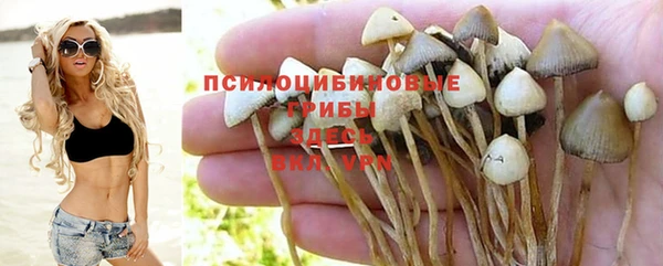 тгк Бугульма